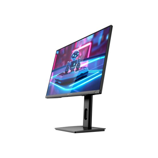 Iromx BC251360 27’’ 1Ms 2xDp 2xHdmı Pivot Monitör