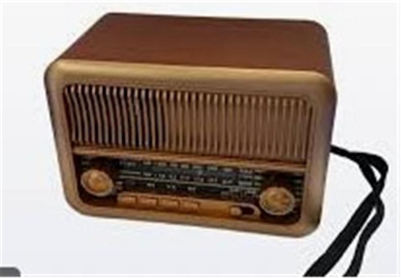 Everton RT-351 Şarjlı Nostaljik Radyo