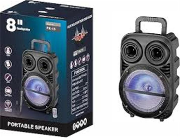 PK15 Bt Speaker FM 8’’ 243-192-347MM